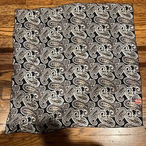 Vintage Ray Strauss All Silk Paisley Handkerchief / Neck Scarf / Head 21" Scarf